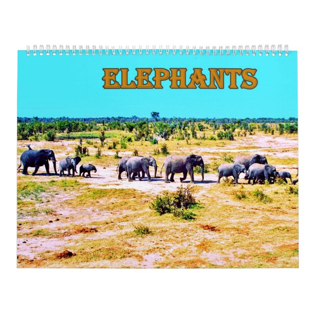 Elefanten Kalender (Titelbild)