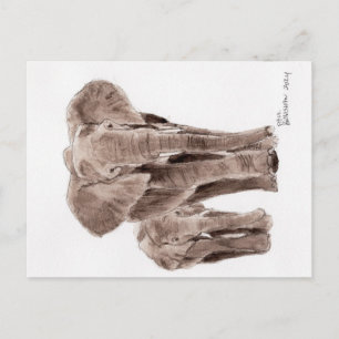 Elefanten Postkarte