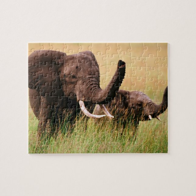 Elefanten-Puzzle (Horizontal)