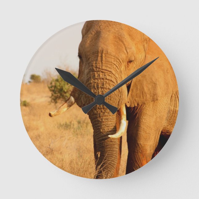 Elefanten Runde Wanduhr (Vorderseite)