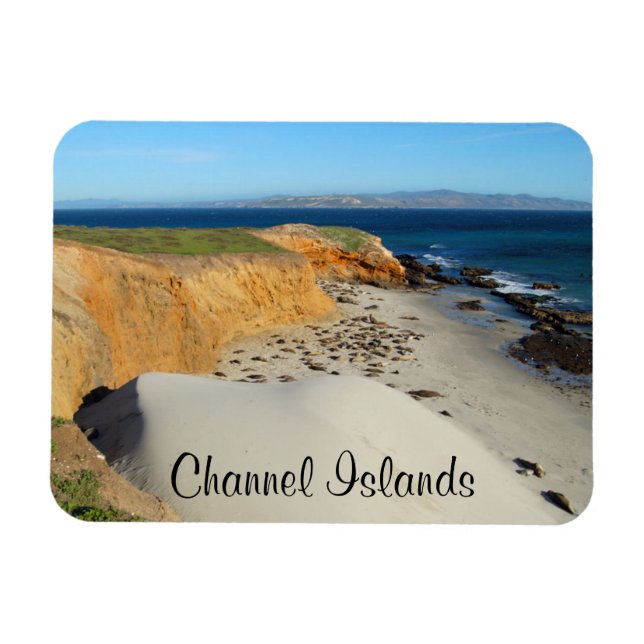 Elefanten-Siegel, San Miguel Island, Kanalinseln Magnet (Horizontal)