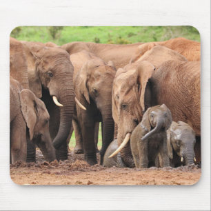 Elefanten süß mousepad