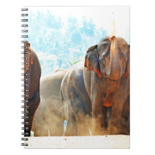 Elefanten Tiere Safari Schicksal Frieden Liebe Notizblock