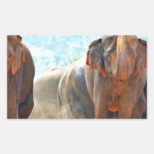 Elefanten Tiere Safari Schicksal Frieden Liebe Rechteckiger Aufkleber