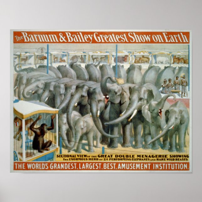 Elefanten und Zirkusposter mit doppelter Menagerie Poster (Vorne)