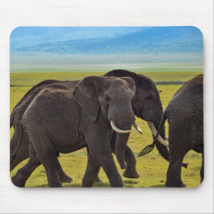 Elefanten, Wildtiere, Natur Mousepad