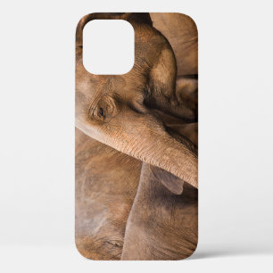 Elefantenfamilie: Majestic Wildlife Case-Mate iPhone Hülle