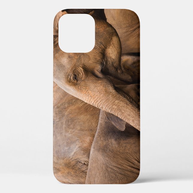 Elefantenfamilie: Majestic Wildlife Case-Mate iPhone Hülle (Rückseite)