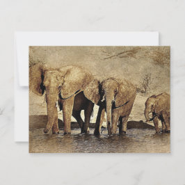 Elefantenfamilie Postkarte