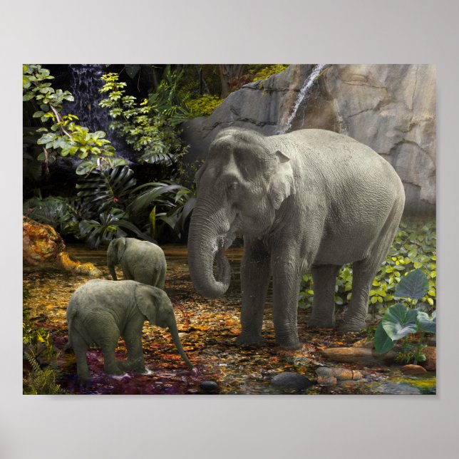 Elefantenfamilie RAIN FOREST PARTY Poster (Vorne)