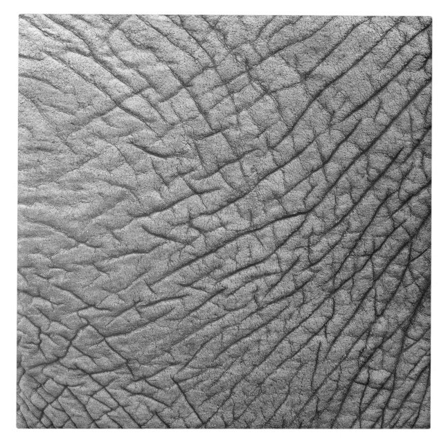 Elefantenhaut Fliese (Vorderseite)