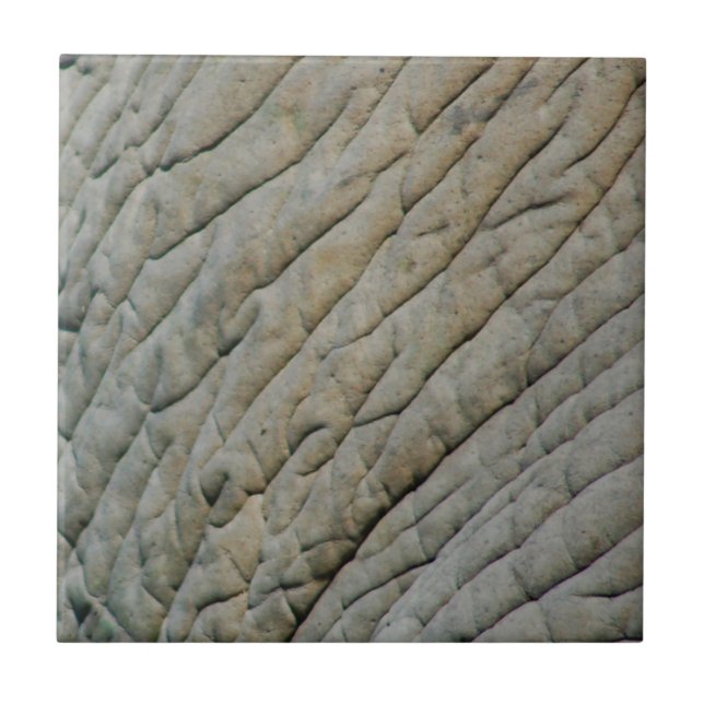 Elefantenhaut Personalisiert mit Ihrem Namen Fliese (Vorderseite)