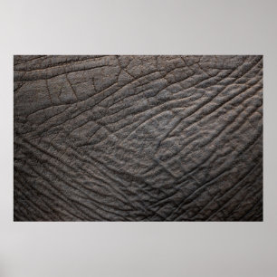 Elefantenhauttextur Poster