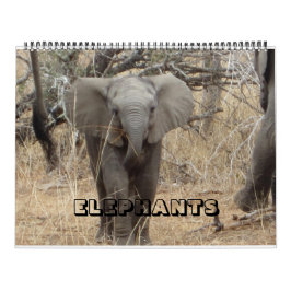 Elefantenkalender Kalender