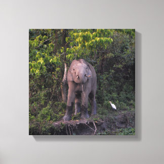Elefantenliebhaber Geschenk  Spannleinwand Kunst Leinwanddruck