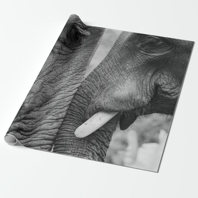 ELEFANTENPAAR GESCHENKPAPIER (Ungerollt)