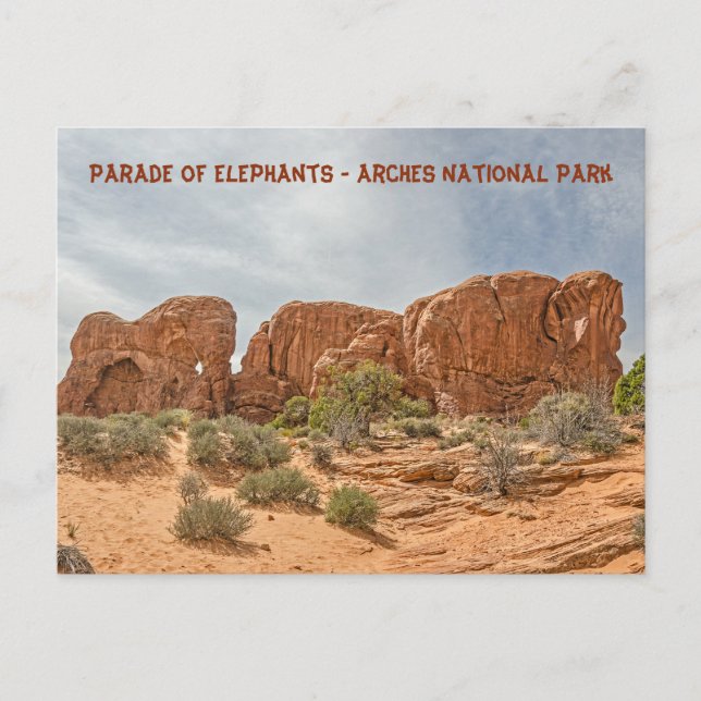 Elefantenparade - Nationalpark Arches Postkarte (Vorderseite)