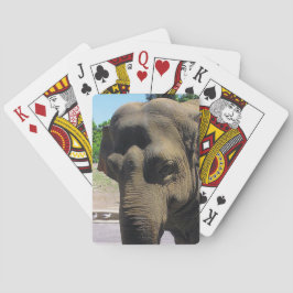 Elefantenspielkarten Spielkarten