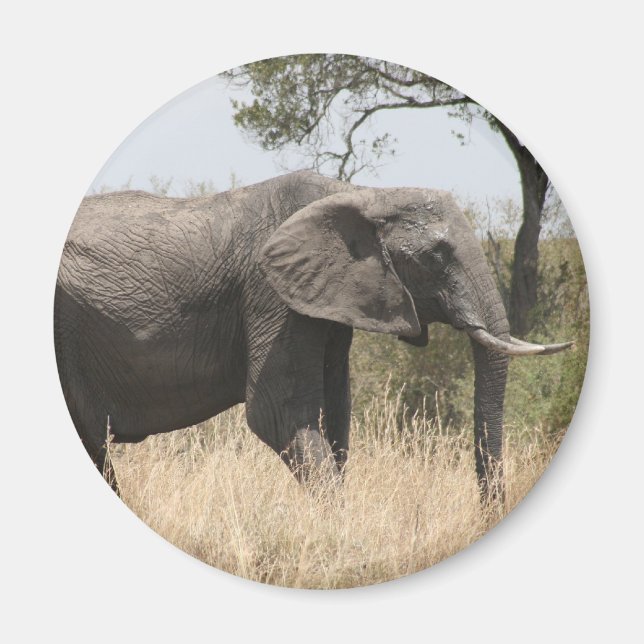 Elefantenspinner Magnet (Vorne)