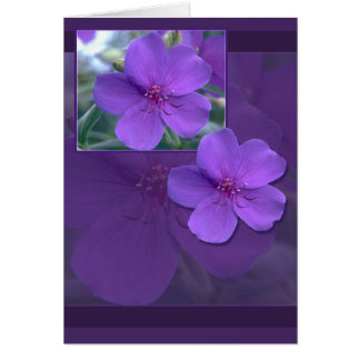Élégance florale violette