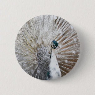 Elegant Albino Peacock Button