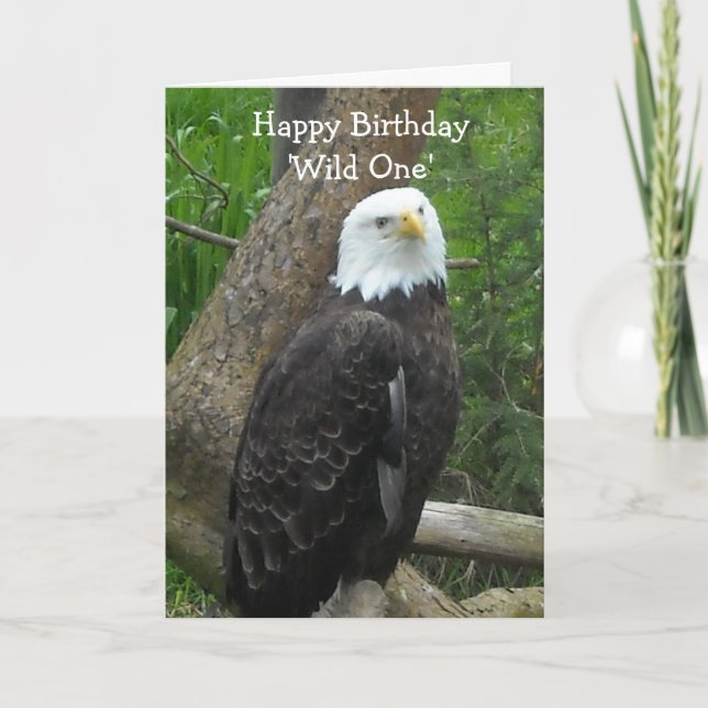 Elegant Bald Eagle Karte (Vorderseite)