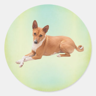 Elegant Basenji Dog  Runder Aufkleber