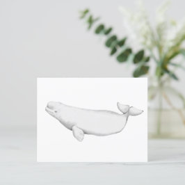 Elegant Beluga Whale Book Illustration Postkarte