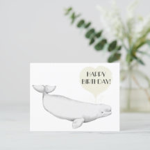 Elegant Beluga Whale Illustration Happy Birthday