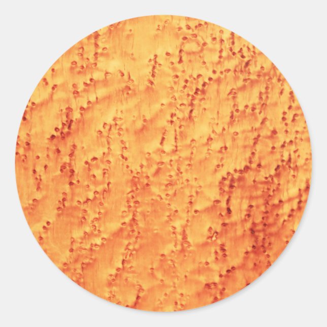 Elegant Bird's Eye Maple Holzkörner Muster Runder Aufkleber (Vorderseite)