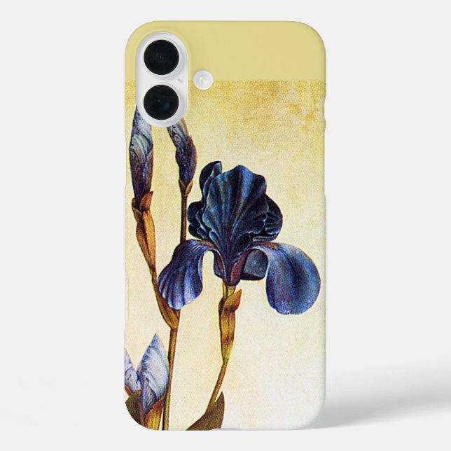 ELEGANT BLAUE IRIS BLUME Elfenbeinblume iPhone 16 Plus Hülle (Rückseite)