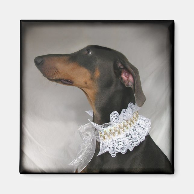 Elegant blue Doberman Pinscher Magnet (Vorne)