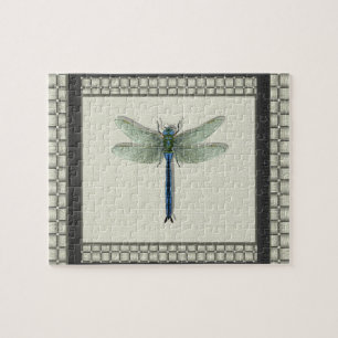 Elegant Blue Dragonfly