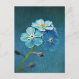 Elegant Blue Flowers Vergiss mich nicht Postkarte