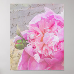 Elegant Blush Pink Peony Floral mit Texturen Scrip Poster