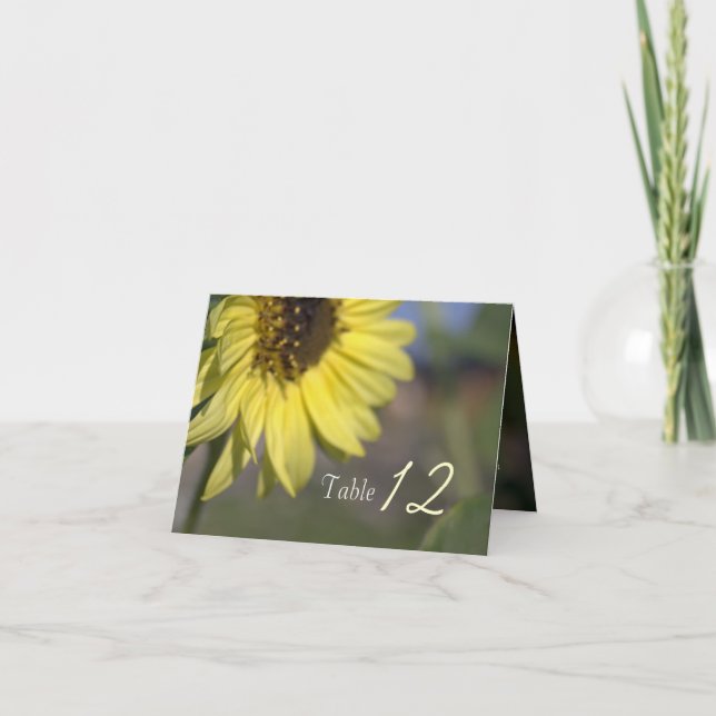 Elégant, brillant été tournesol jaune merci (Devant)