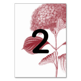 Elegant Burgundy Hydrangea Wedding Tischnummer