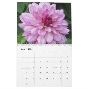Élégant calendrier botanique coloré Dahlias