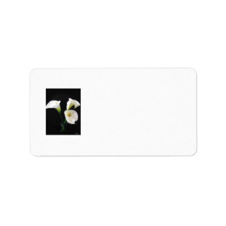 Elegant Calla Lily Blume 12 Adressaufkleber