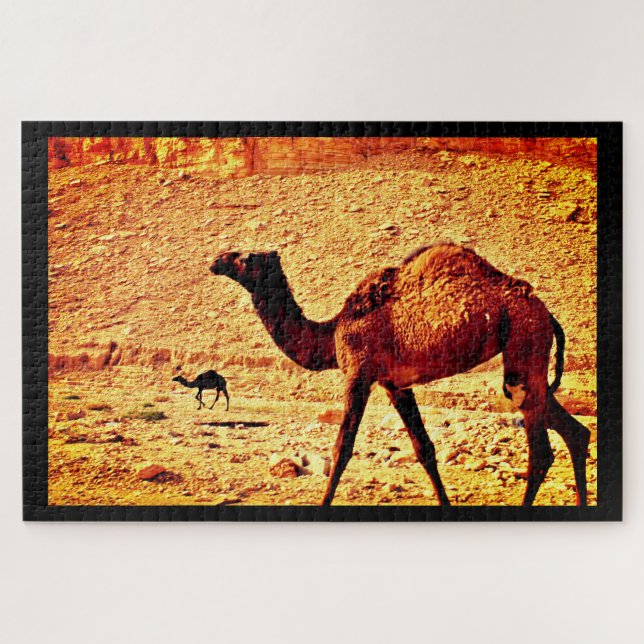 Elegant Camels (Horizontal)
