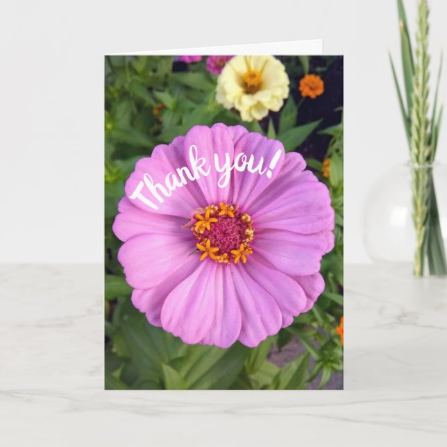Élégant Carte de remerciements à fleurs rose Zinni (Devant)
