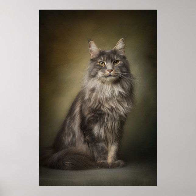Elegant Cat Studio Portrait Poster (Vorne)