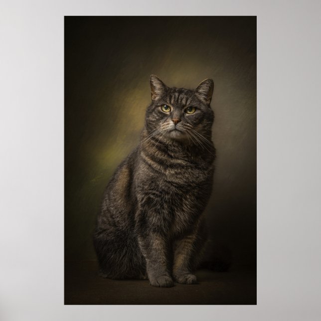 Elegant Cat Studio Portrait Poster (Vorne)