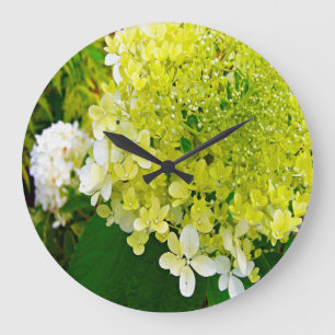 Elegant Chartreuse Green Limelight Hydrangea Große Wanduhr
