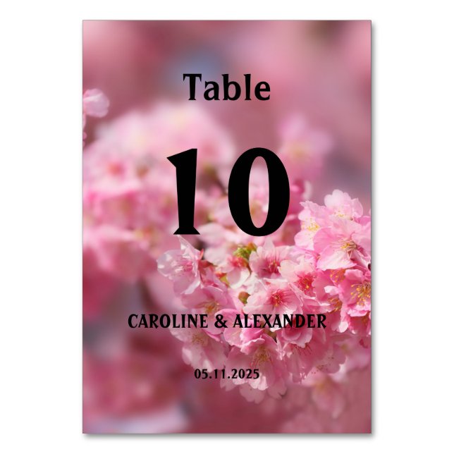 Elegant Cherry Blossom Blumenfotografie Hochzeit Tischnummer (Vorderseite)