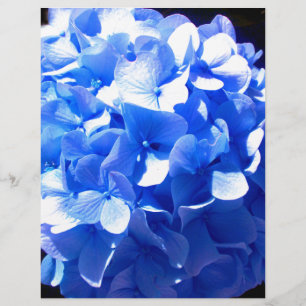 Elegant Cobalt Blau Blumen elegante Hydrangeas
