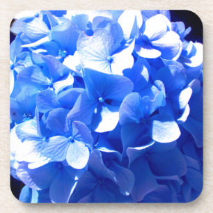Elegant Cobalt Blau Blumen elegante Hydrangeas Getränkeuntersetzer