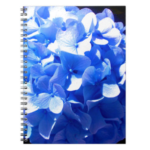 Elegant Cobalt Blau Blumen elegante Hydrangeas Notizblock