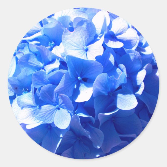 Elegant Cobalt Blau Blumen elegante Hydrangeas Runder Aufkleber (Vorderseite)