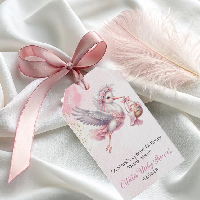 Elegant cute pink Stork Baby Girl Shower  Geschenkanhänger (Von Creator hochgeladen)